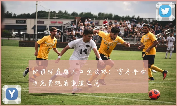 世俱杯直播入口全攻略：官方平台与免费观看渠道汇总