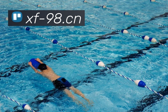 星空官网网页版发展历程